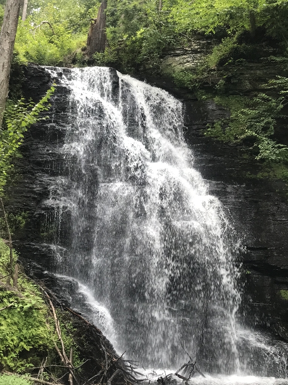 IMG_3983.JPG